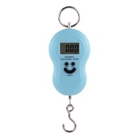 2019 Best selling style portable travel digital luggage scale hook scale